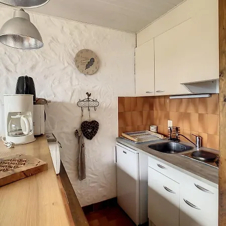 Pres Du Centre De Avec Kitchenette - Fr-1-560-54 * Combloux